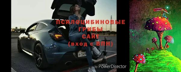 ПСИЛОЦИБИНОВЫЕ ГРИБЫ Белокуриха