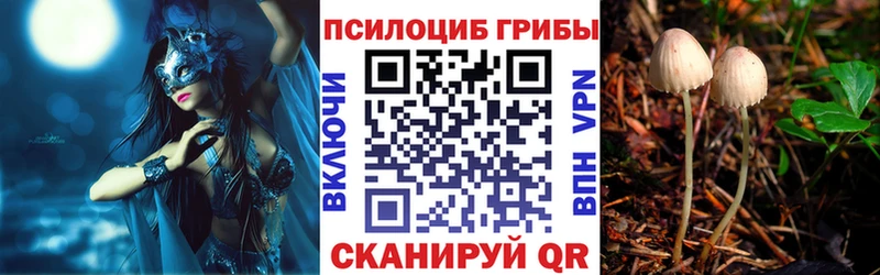 Псилоцибиновые грибы Cubensis Острогожск